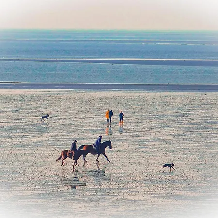 Haus Horizont Hz13 アパート *