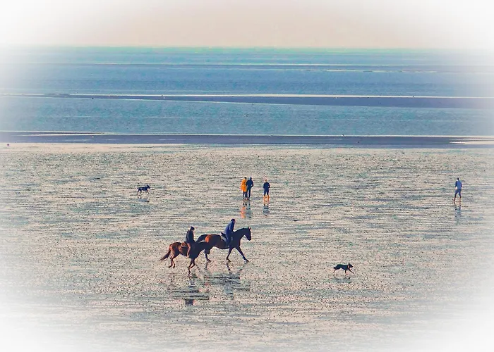 Haus Horizont Hz13 Apartamento *